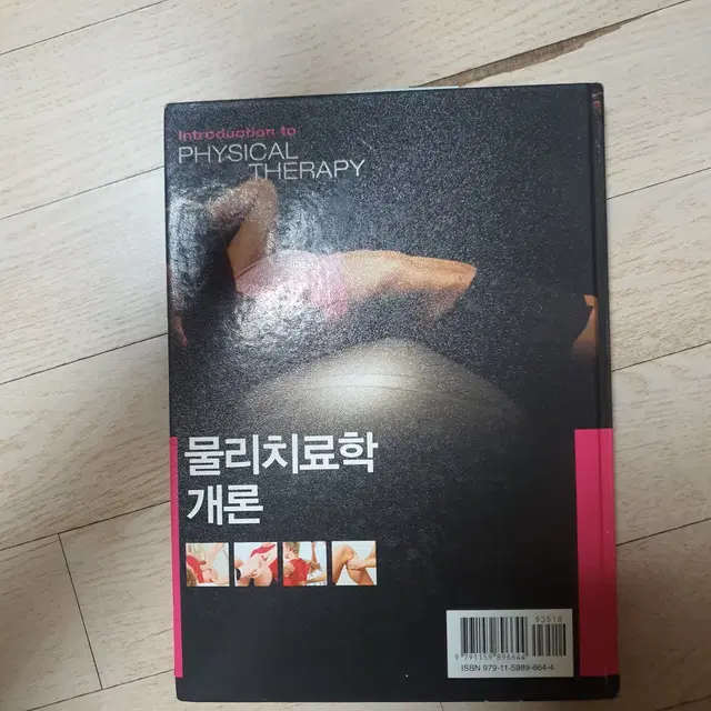 물리치료학개론