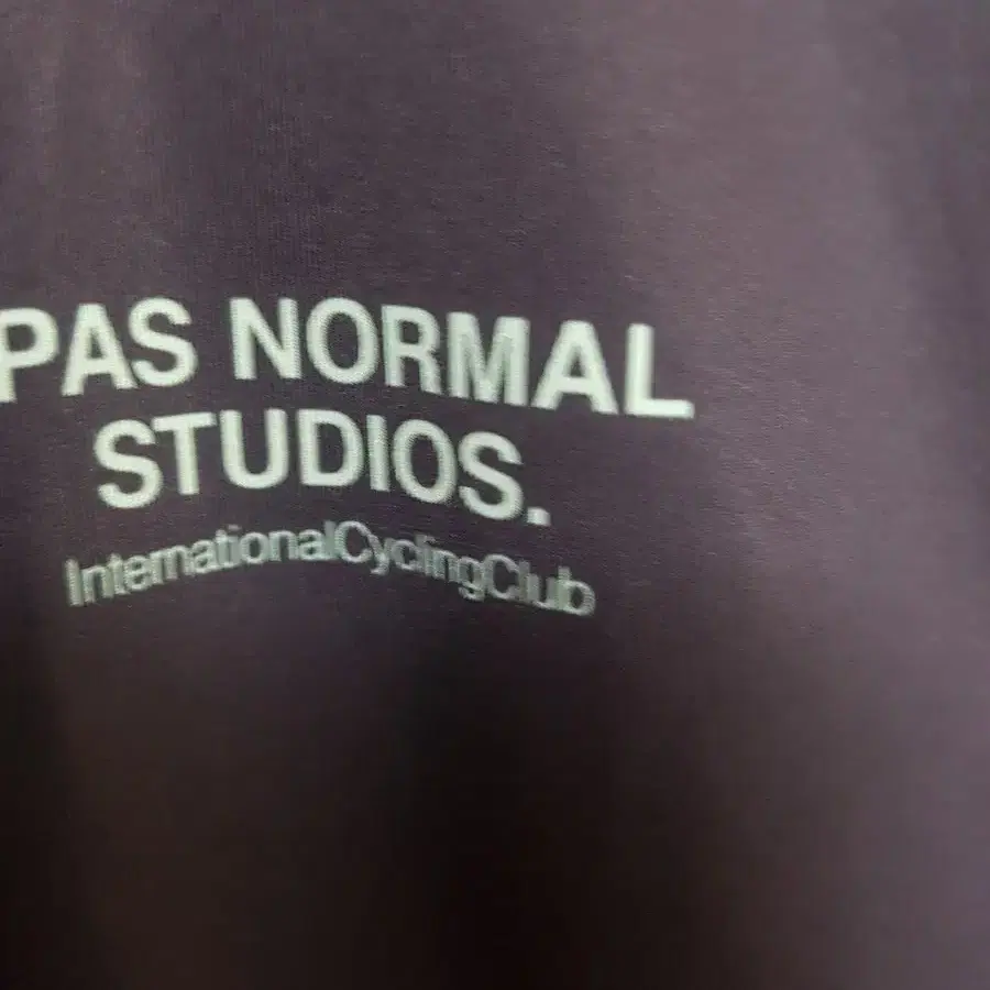 파노말 져지 (PAS NORMAL STUDIO) L