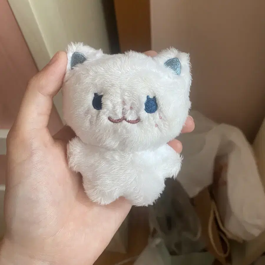 뽁냥이