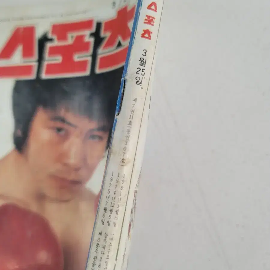 1981년 주간스포츠 옛날잡지