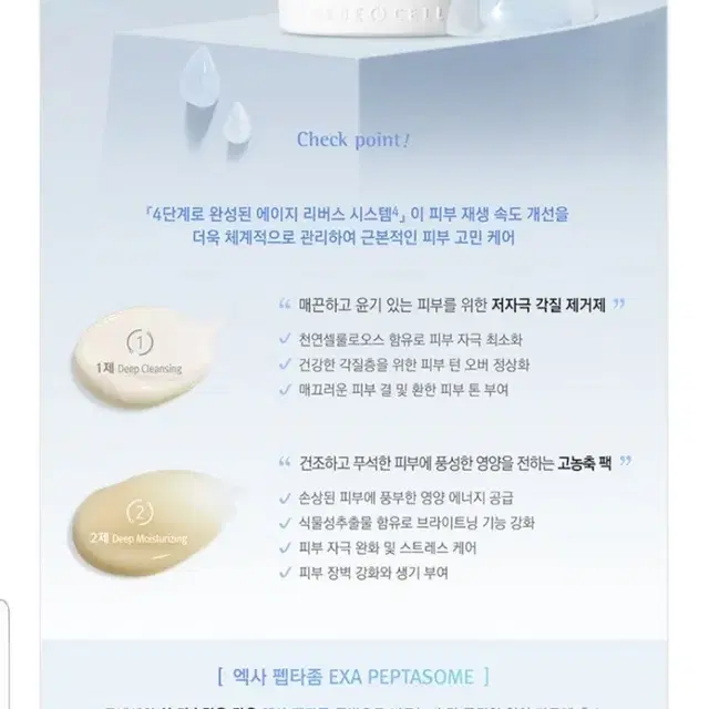 르네셀 썬크림+1제필링+2제영양팩