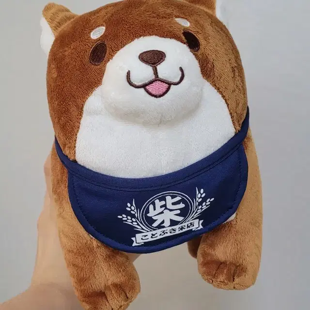 충견모찌시바 인형(25cm)