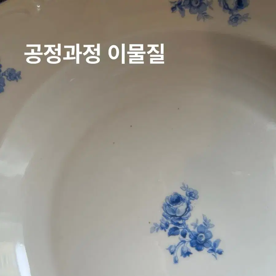 24.5cm/독일 빈티지 바로이터 바바리아 푸른 장미 파스타 접시