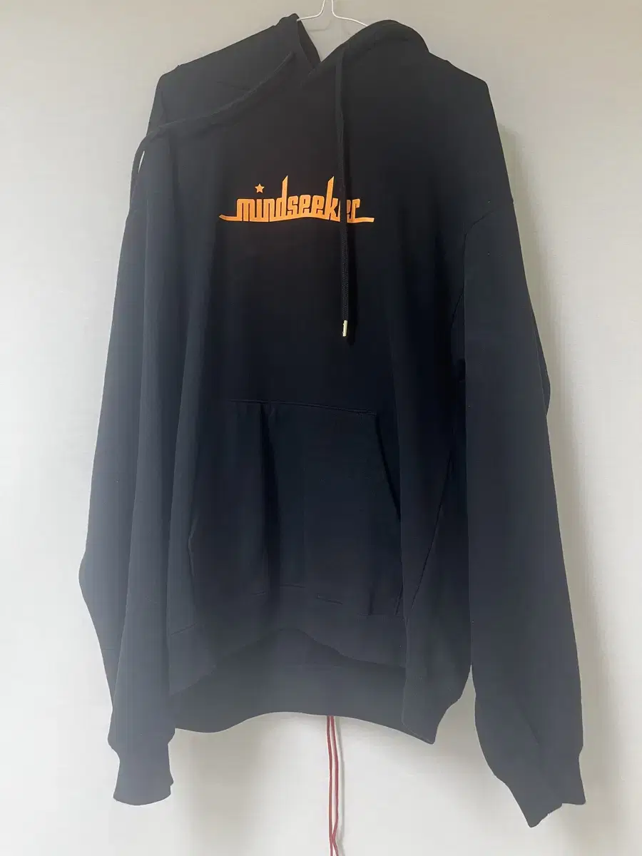 Mindseeker mindseeker hoodie