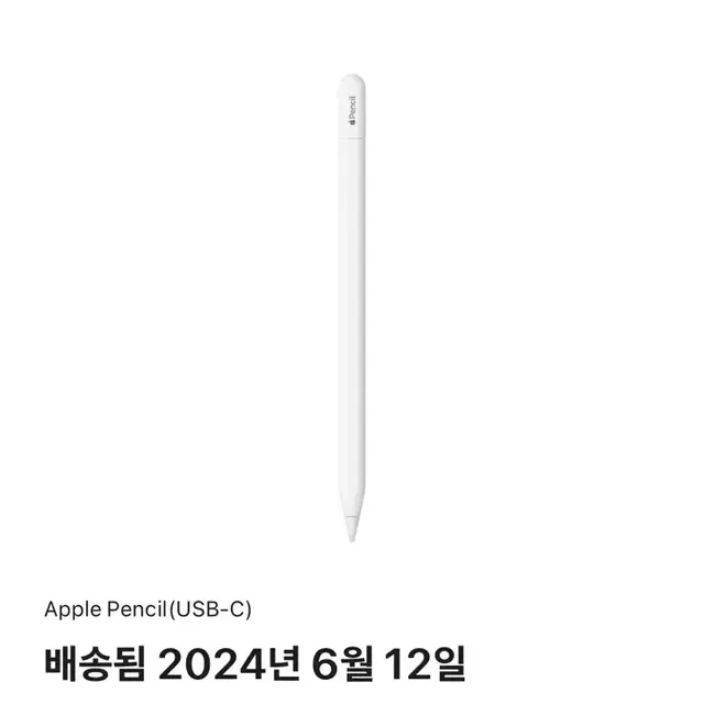 애플펜슬 2세대 Apple Pencil (USB-C)