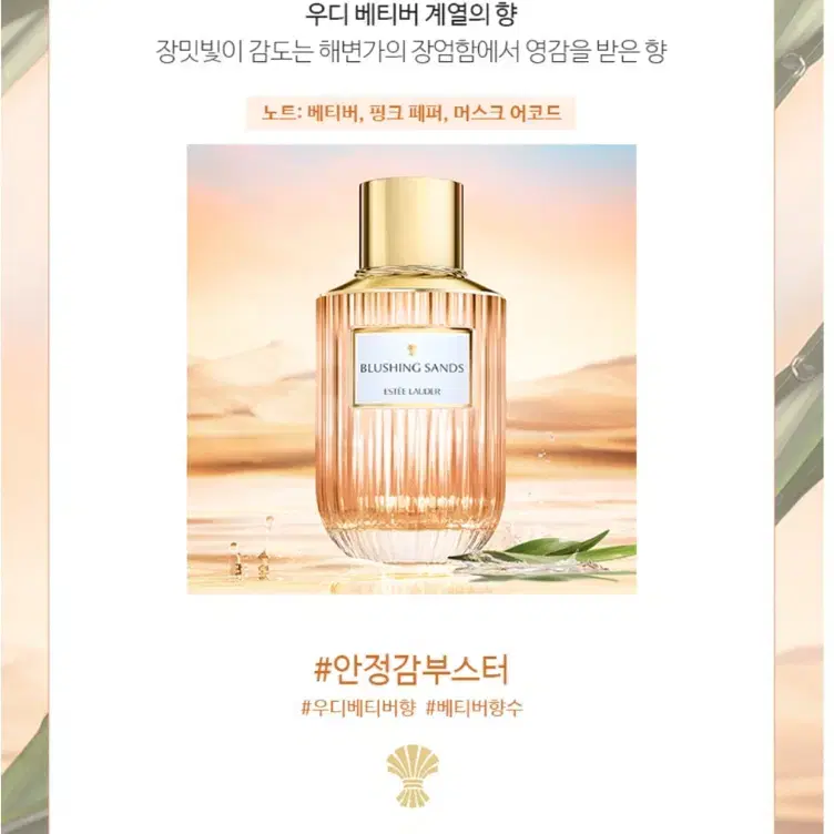 에스티로더 블러싱 샌즈 오드퍼퓸 향수100ml EDP