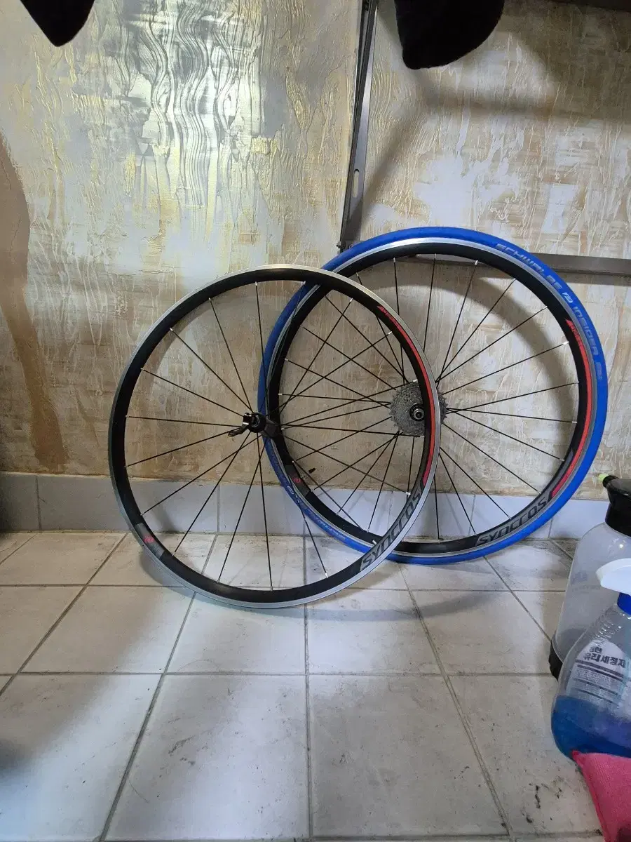 Laura's Road Wheelset Syncros + Schwalbe