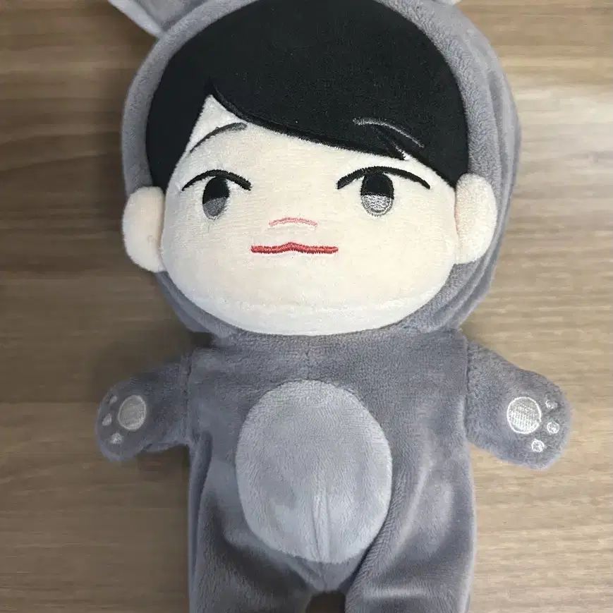 류준열 인형