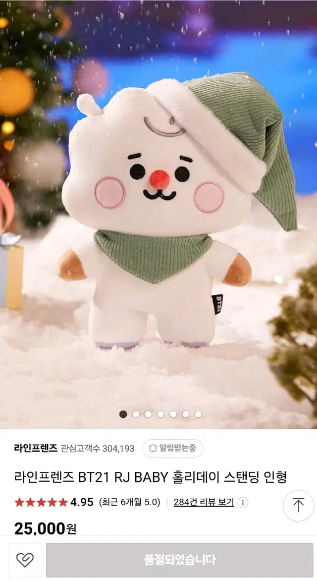 BT21) 크리스마스 홀리데이 알제이 RJ