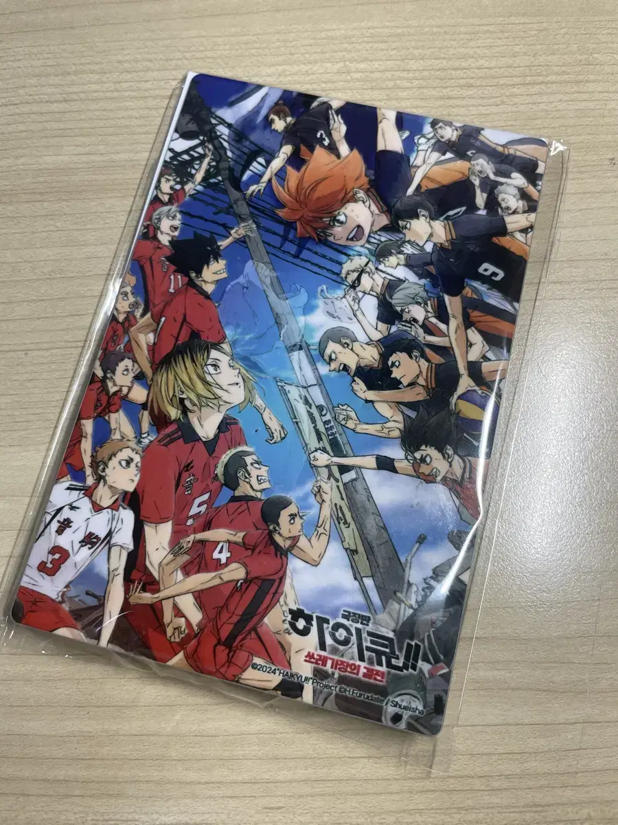 Haikyuu Tsukuden Picture Frame