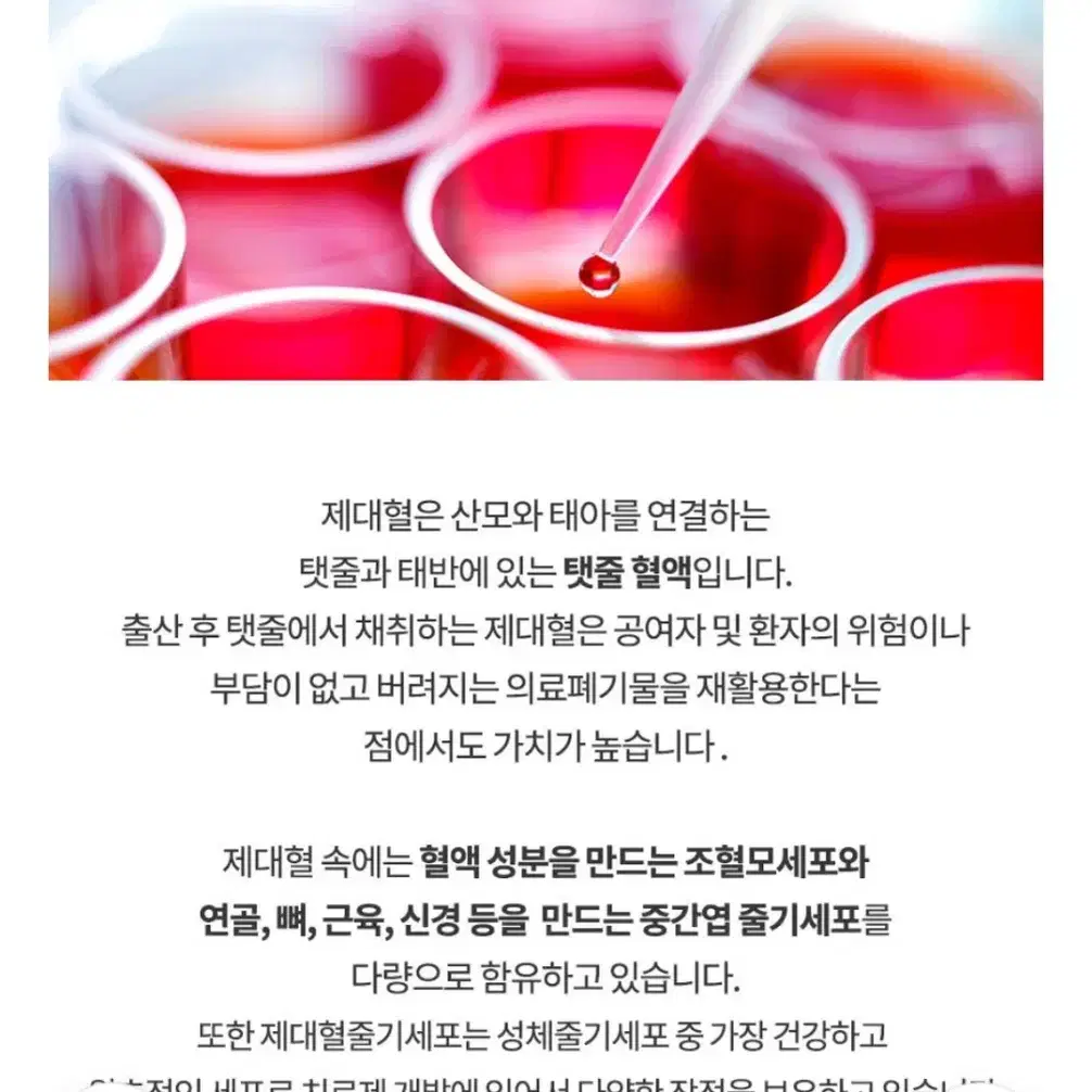 엘르쥬 보르피린 함유 크림 1개 판매 해요