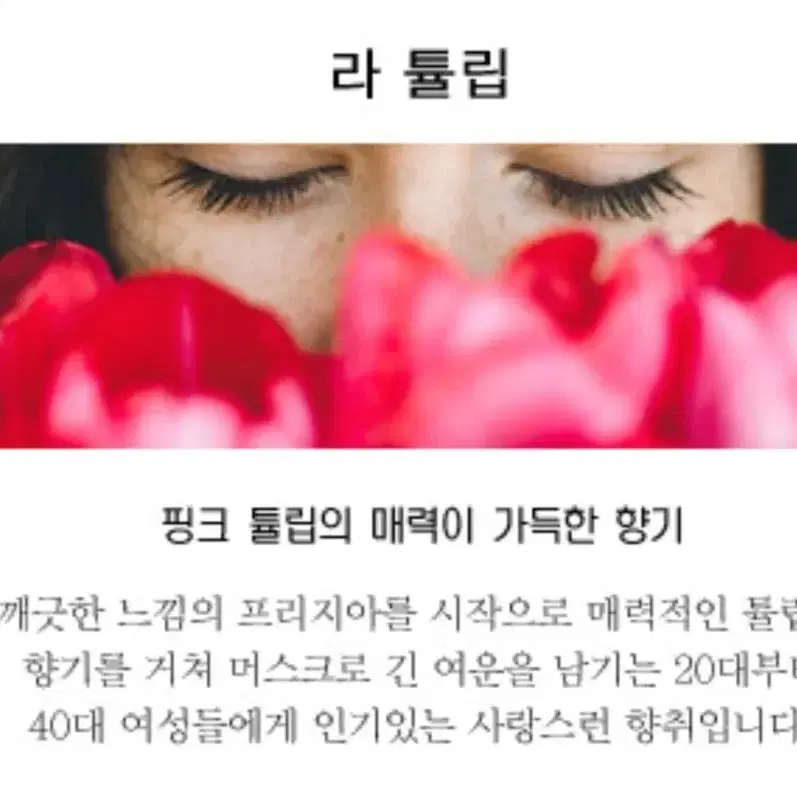 라튤립,어나더13 니치 저렴이 향수