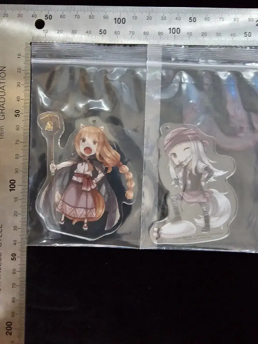 The Wolf and the Parchment pre-order benefit acrylic Keyring