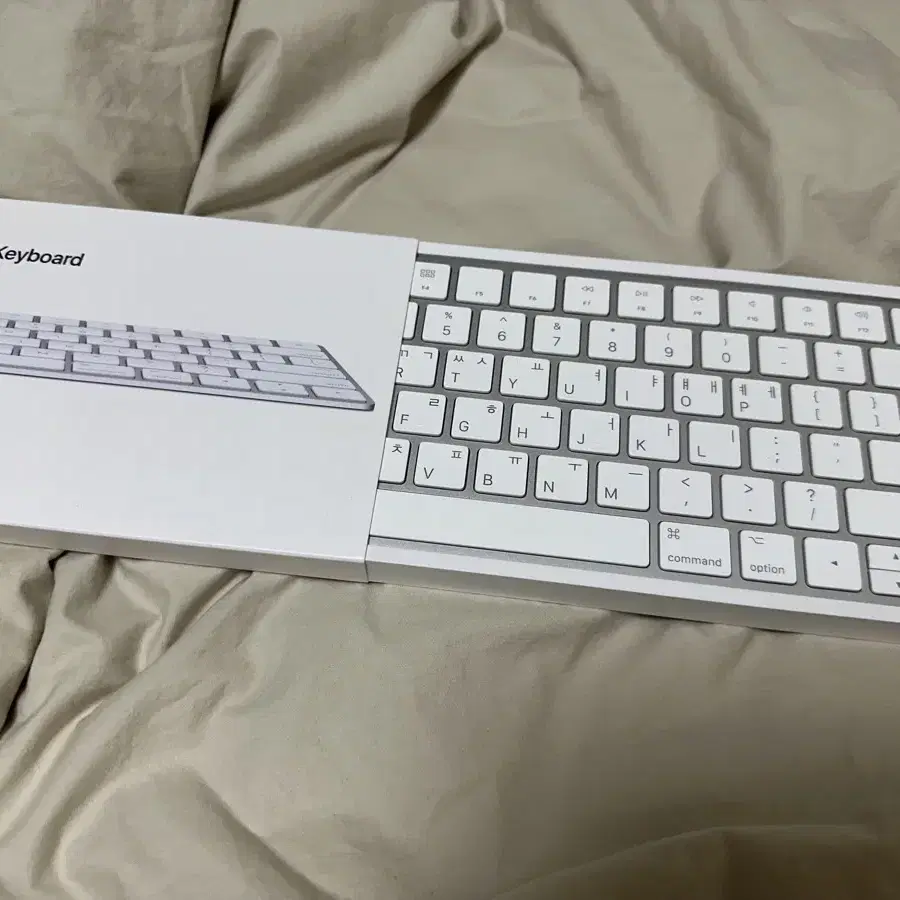 Apple magic keyboard 애플 매직키보드