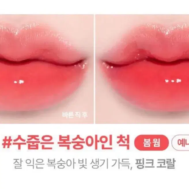 릴리바이레드/투쿨포스쿨 틴트 판매합니다!