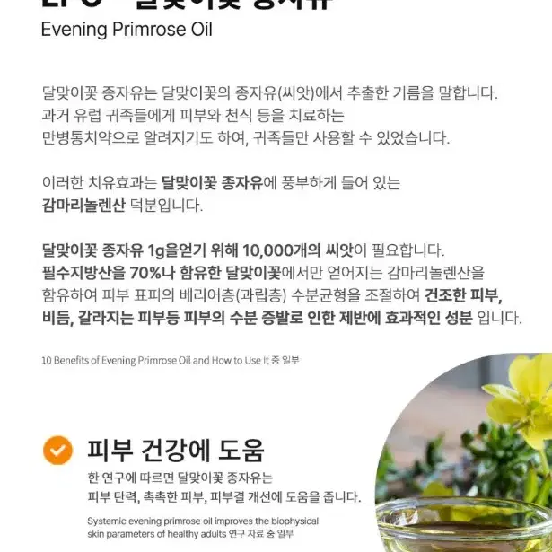 닥터타이즈 인텐시브 살베