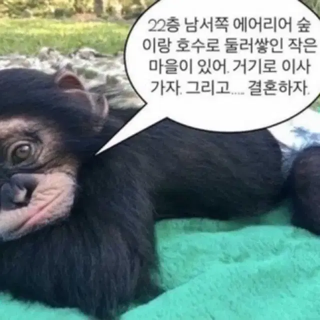 @@교신가능해요@@