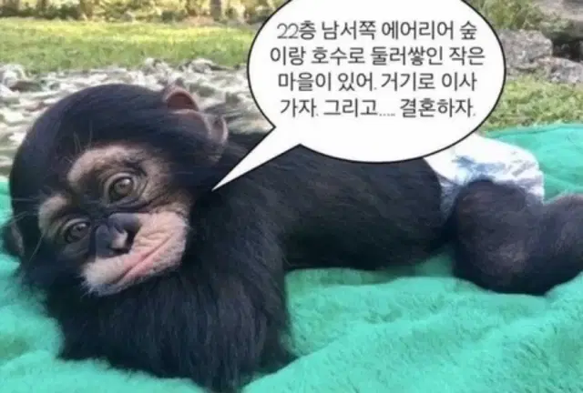 @@교신가능해요@@