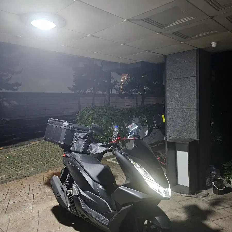 2024 PCX ABS 울산