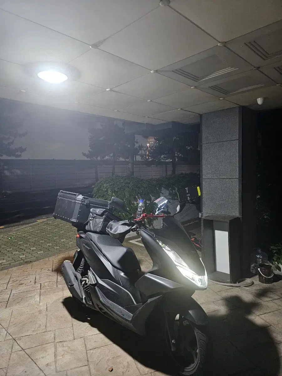 2024 PCX ABS 울산