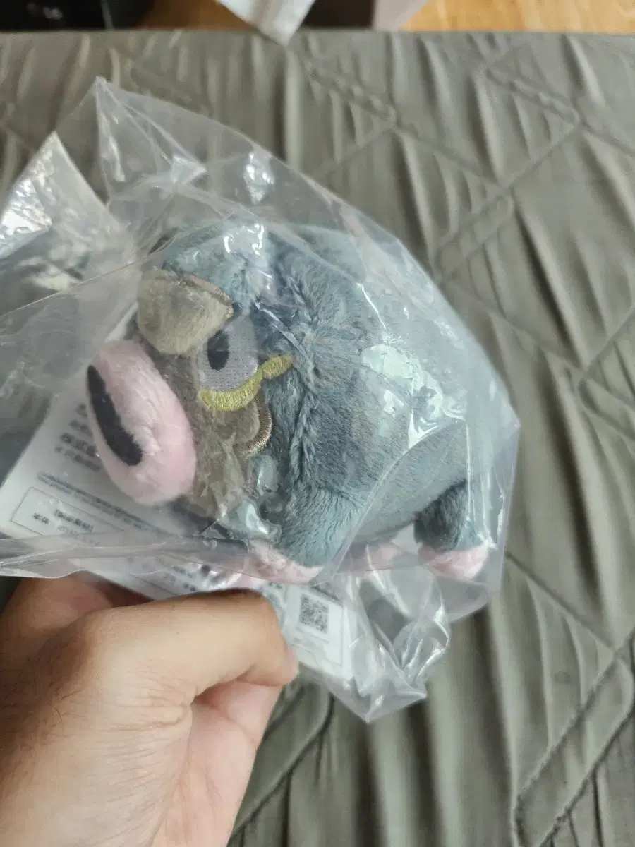 Pokémon First Lottery doll E-Prize doll Unsealed