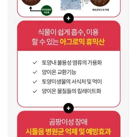 아그로믹 채소박사 300g (곰팡이병/뿌리발근/수경재배)