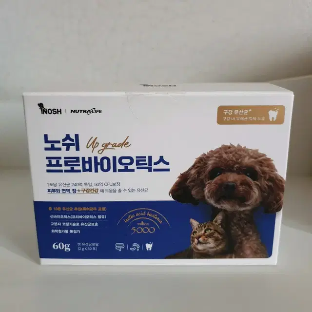 강아지 고양이 노쉬 유산균 미개봉 새상품