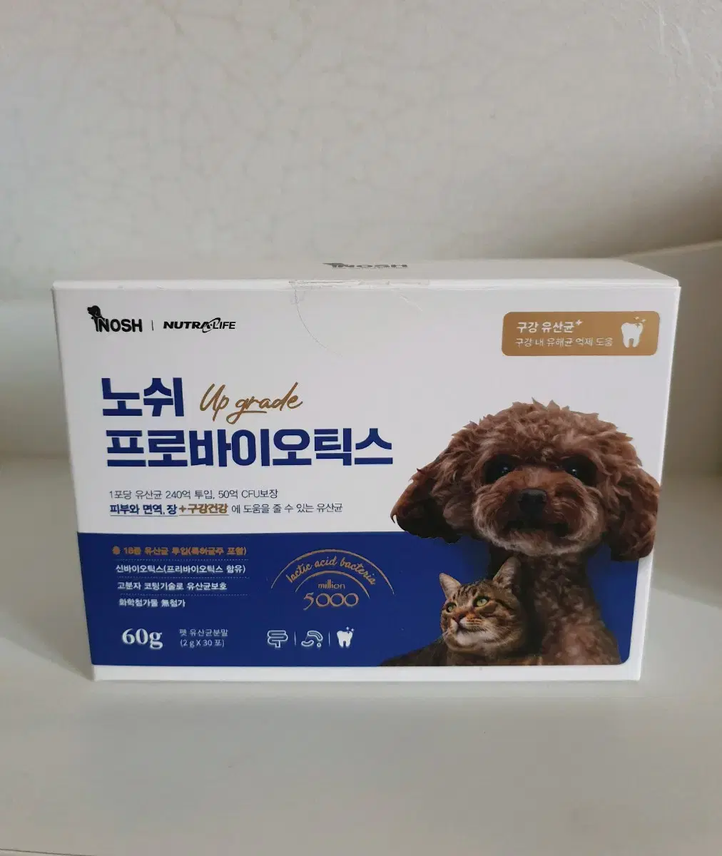 강아지 고양이 노쉬 유산균 미개봉 새상품