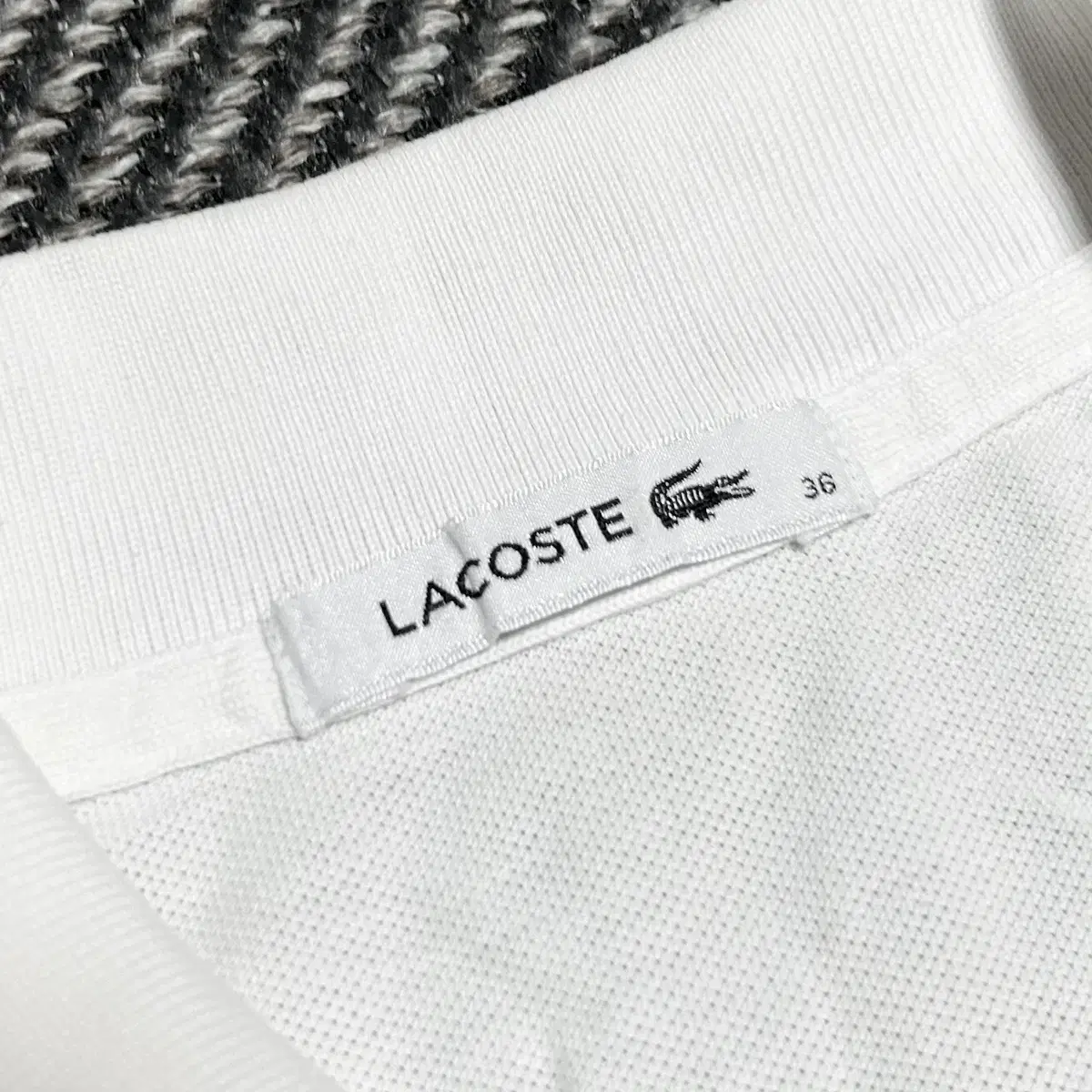 [ S ] Lacoste 라코스테 화이트 반팔 카라티