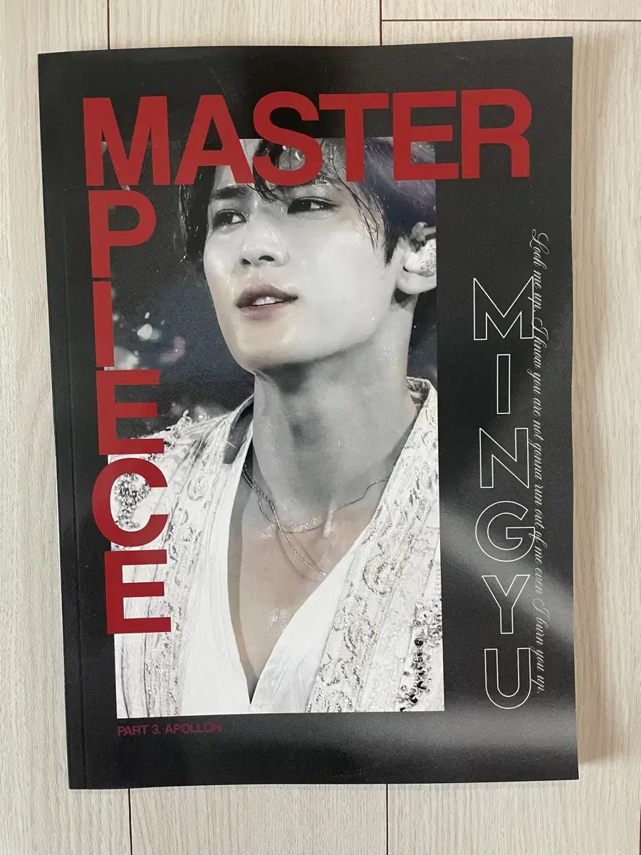 Seventeen mingyu photobook