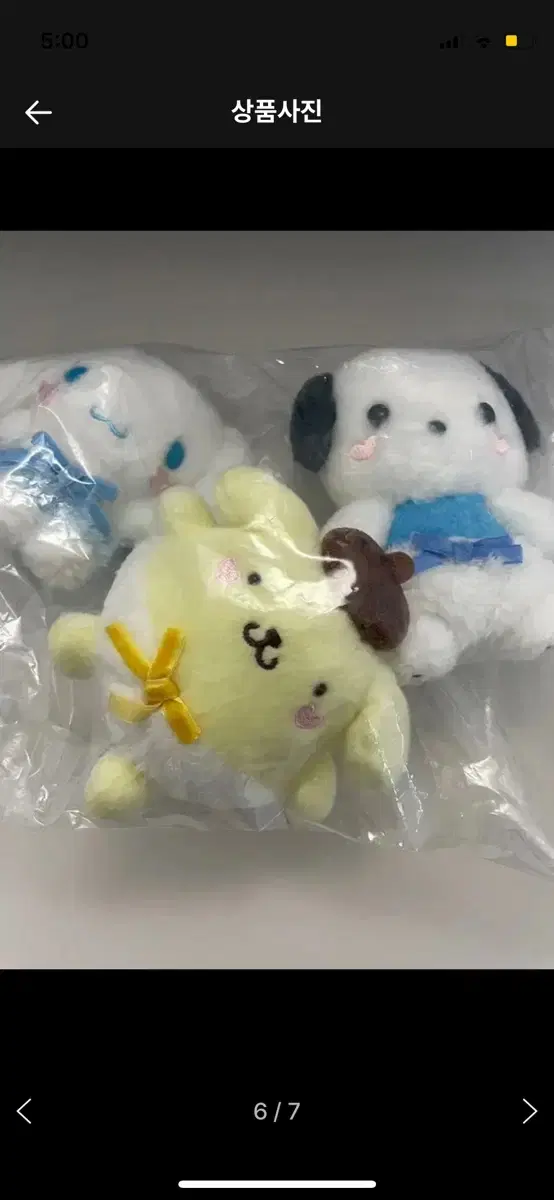 Pochaco Cinnamon Roll Pompompurin Angel Mascot / Pochaco Koozie Doll