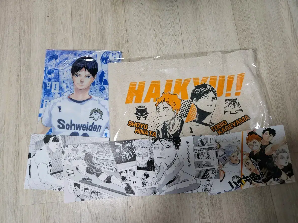 Haikyuu Official Mini Eco Bag