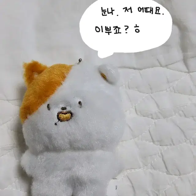 엔시티 드림 지성 인형 포켓찌 양도해요