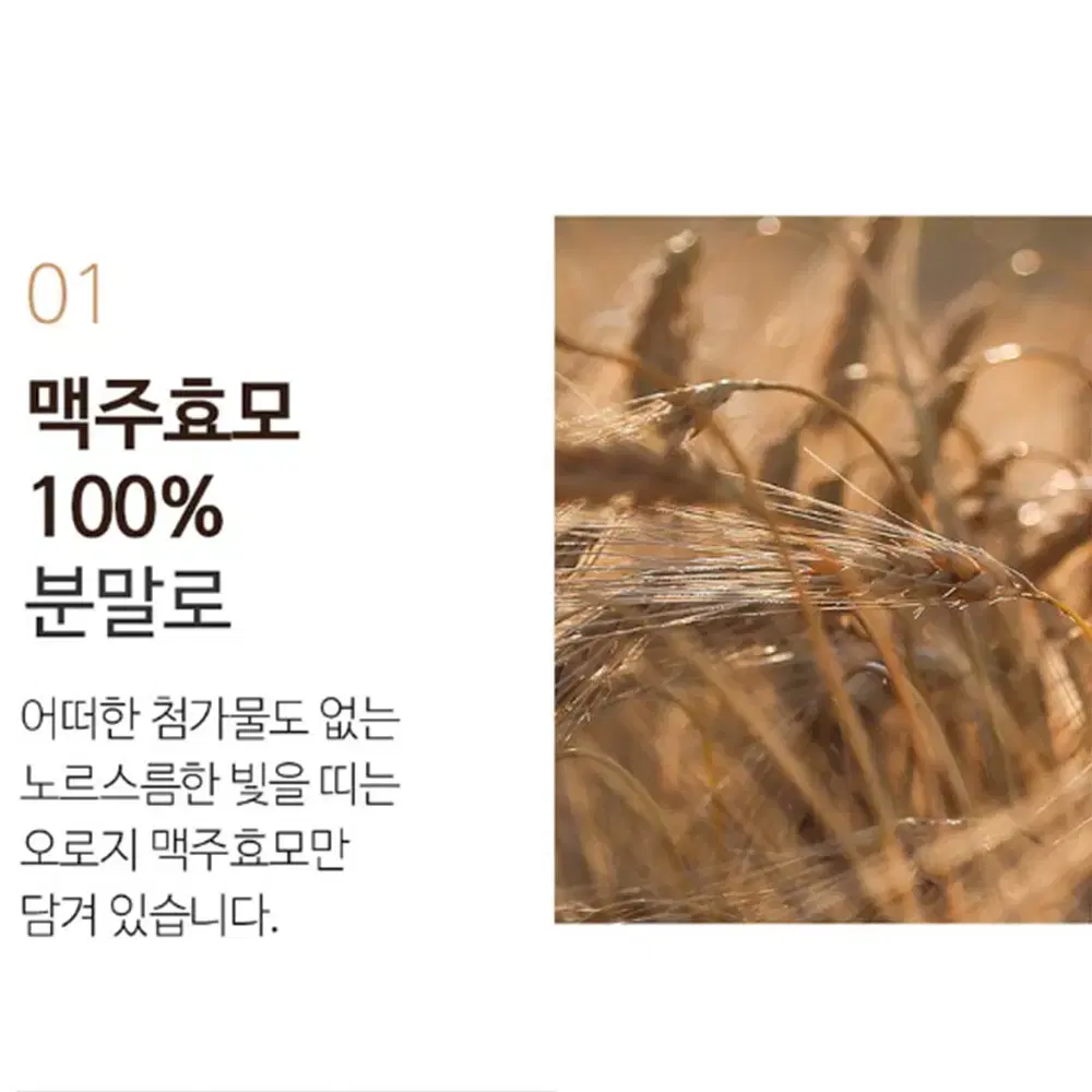 [400g] 제주 100% 국내산 맥주 효모 건조 분말 영양제 파우더