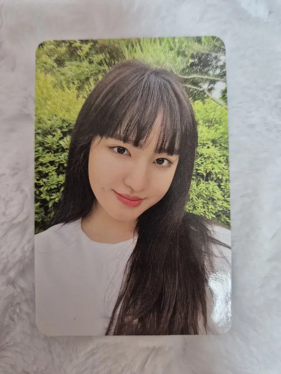 Liz Afterlike Photocard