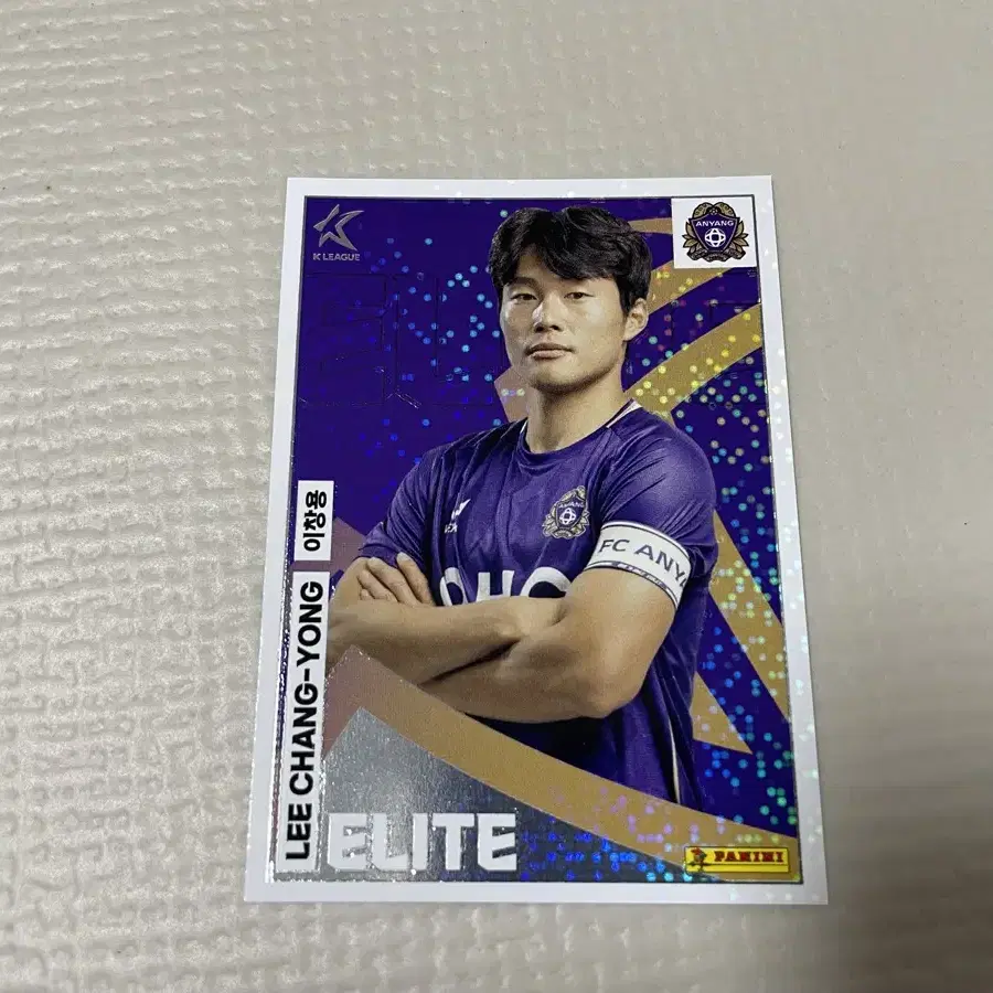 2024 PANINI K리그 카드 안양FC 이창용