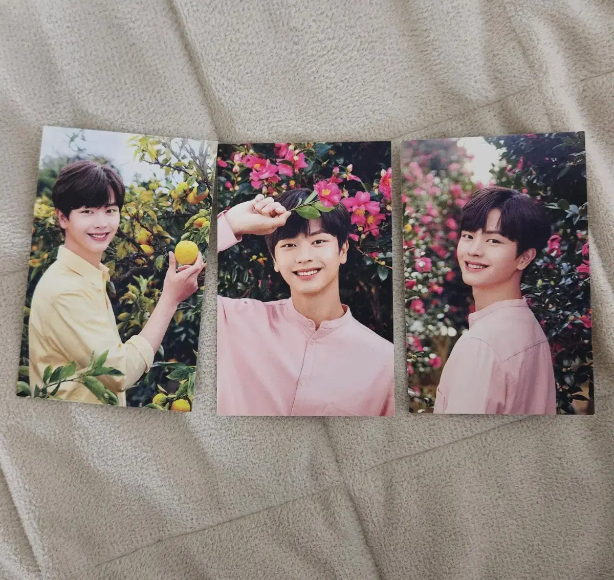 [3,000 won in bulk] btob yook sungjae SumbiMe Photocard Kard