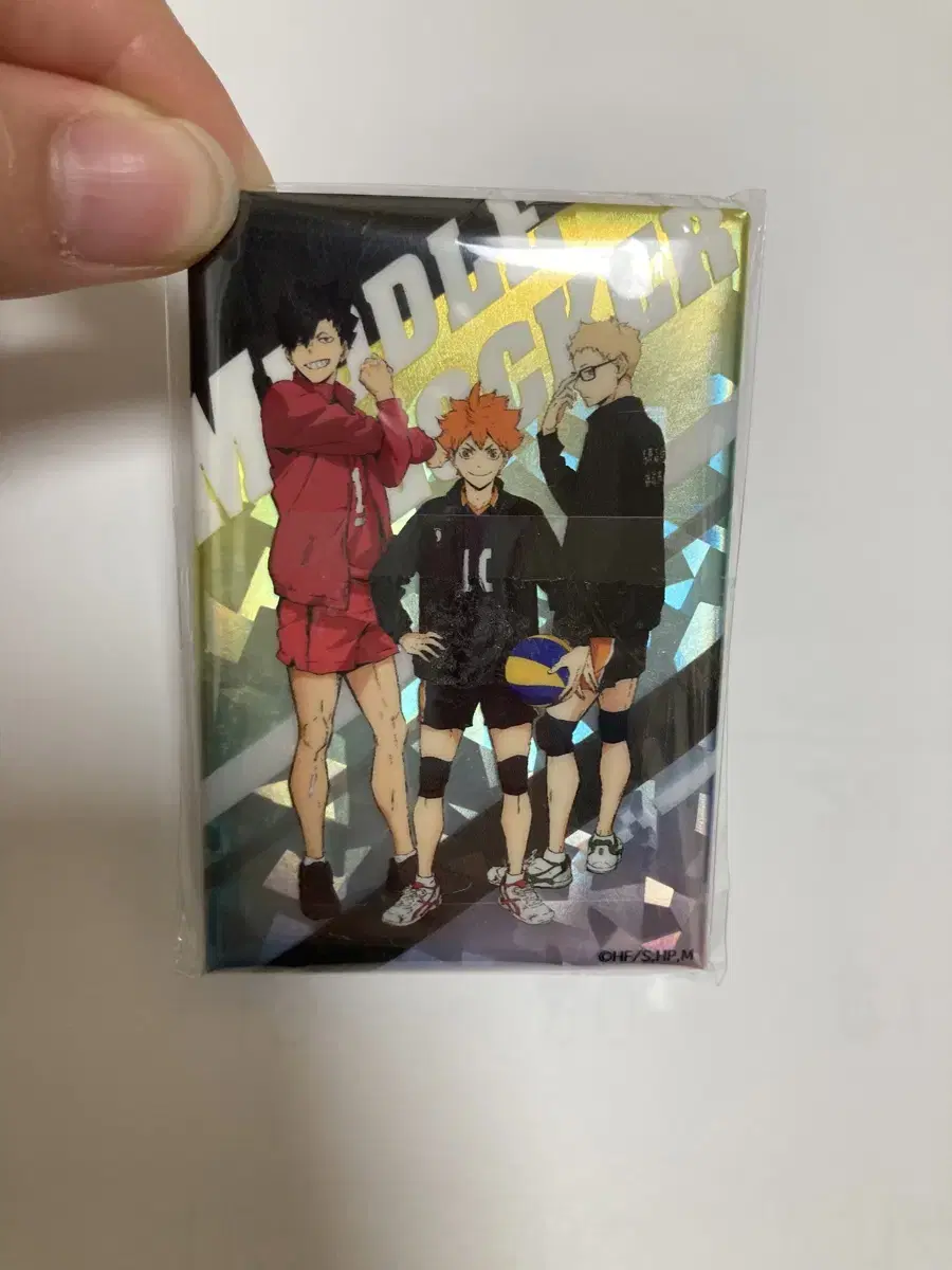 Haikyuu Goods Canvas Paper (Standing or hanging!) (last price reduced)