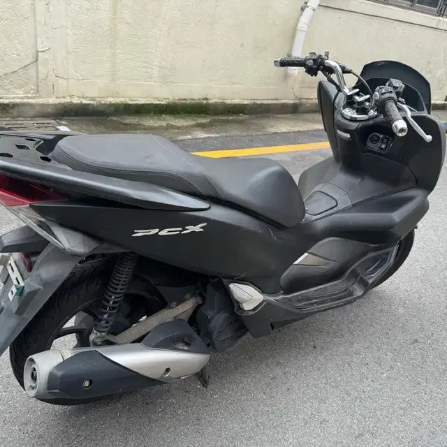 부산 pcx