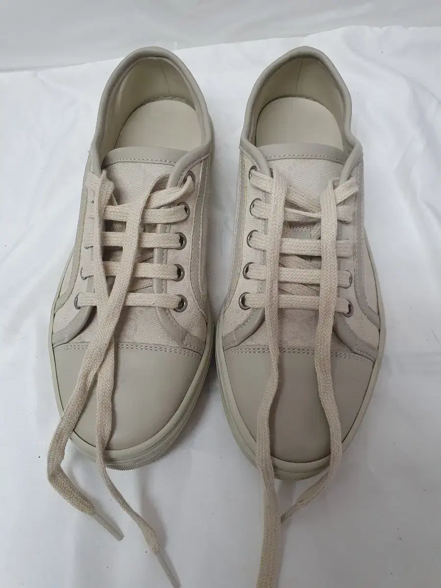 Gucci sneakers size 230 to 235