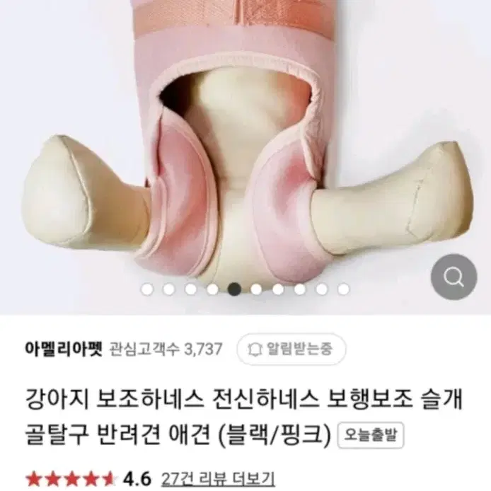 아멜리아펫 보행보조 전신하네스 블랙S