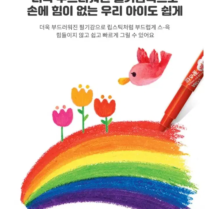 (정품) 아모스 파스넷 색연필 12색