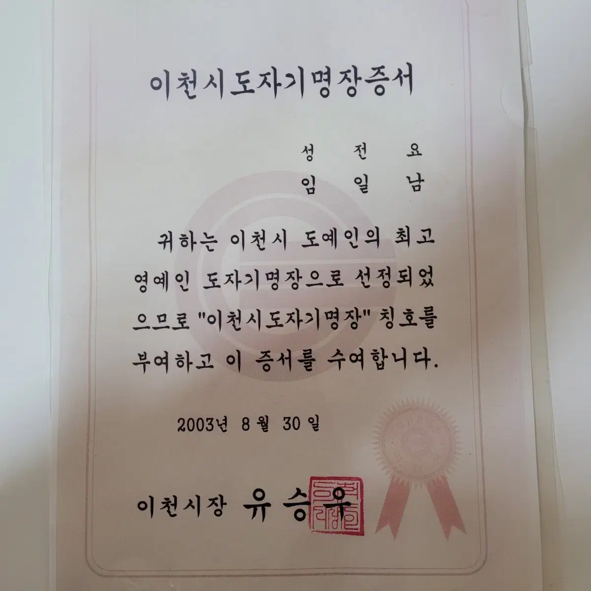 백자 철화연화문 대형 도자기