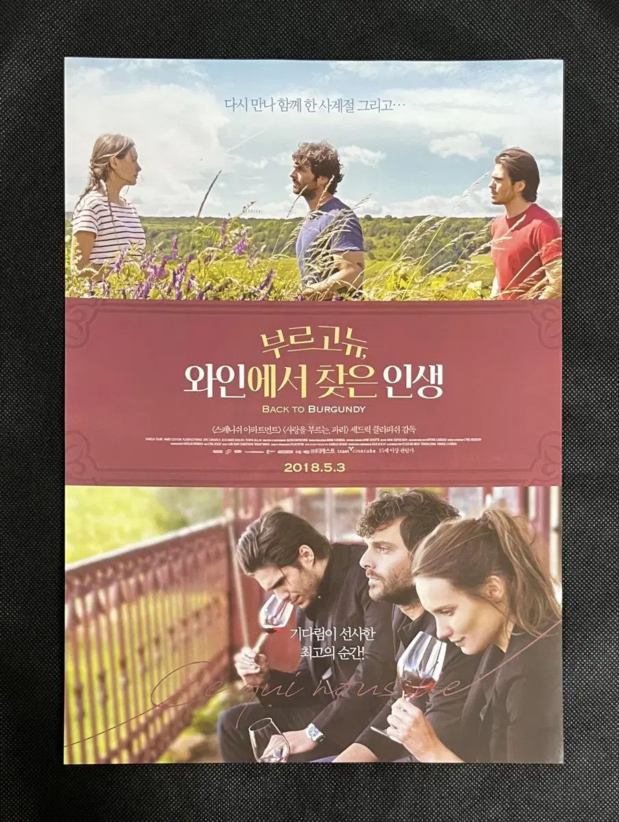 영화 부르고뉴, 와인에서 찾은 인생 - 전단지 팜플렛 포스터