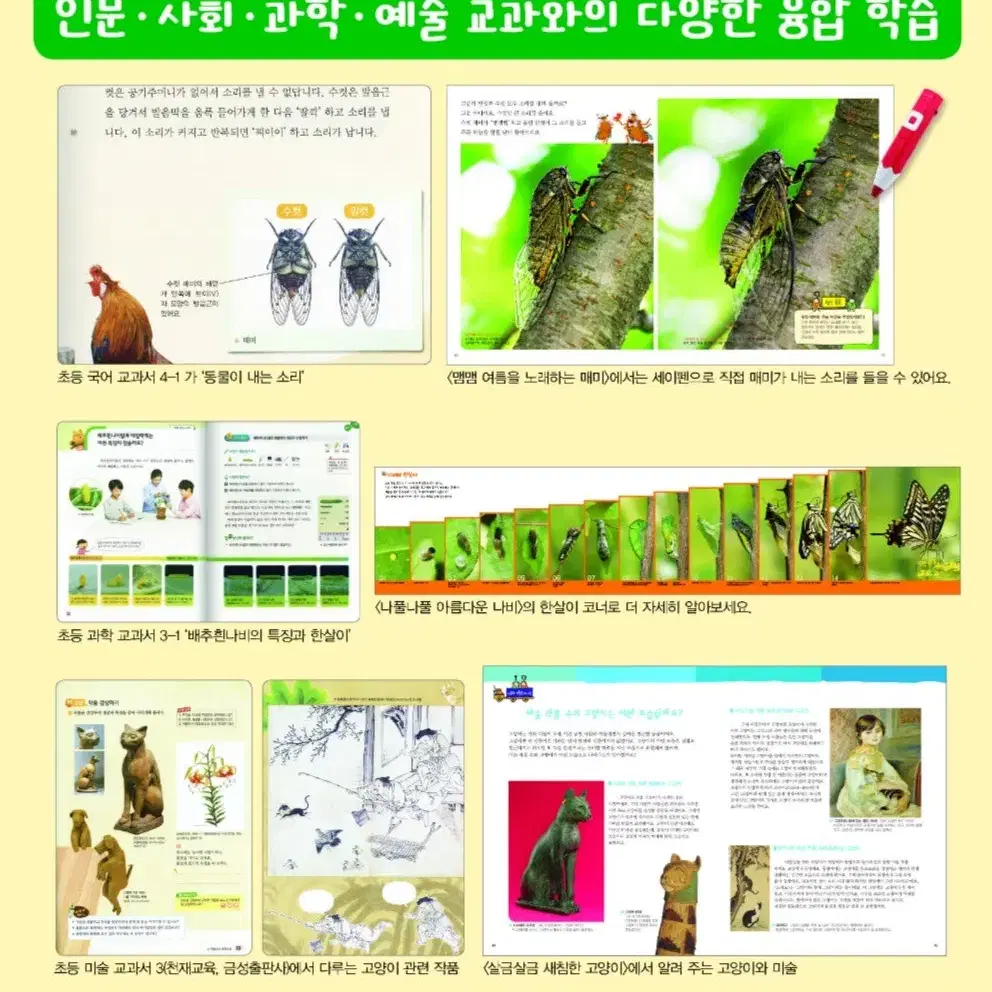 유아(어린이)도서 "탄탄 자연 속으로" 100 권