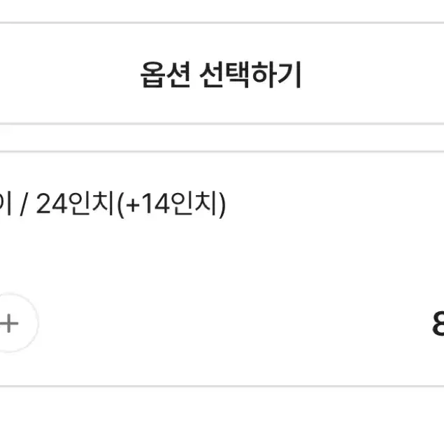 24인치 캐리어