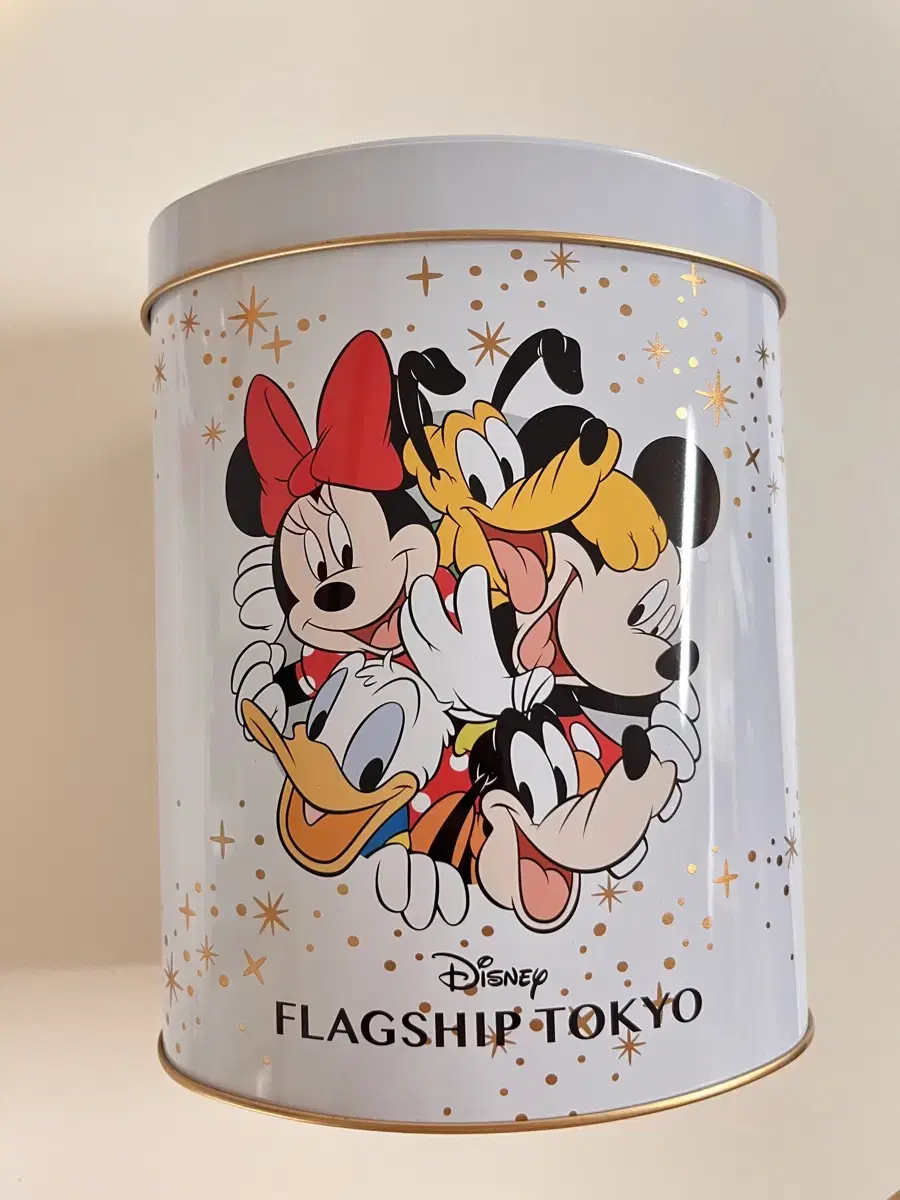 Disney Friends Round Tin Case