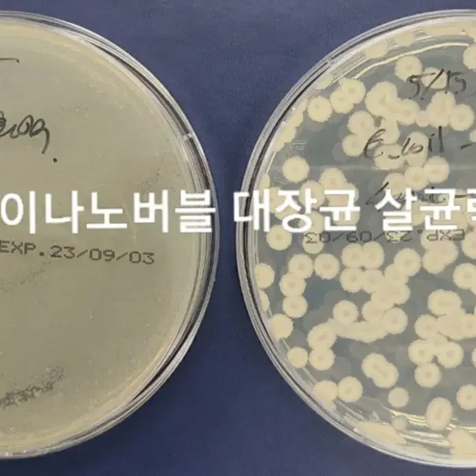 케이나노버블 산소용해기 나노액비제조 산소수농법 나노물질제조