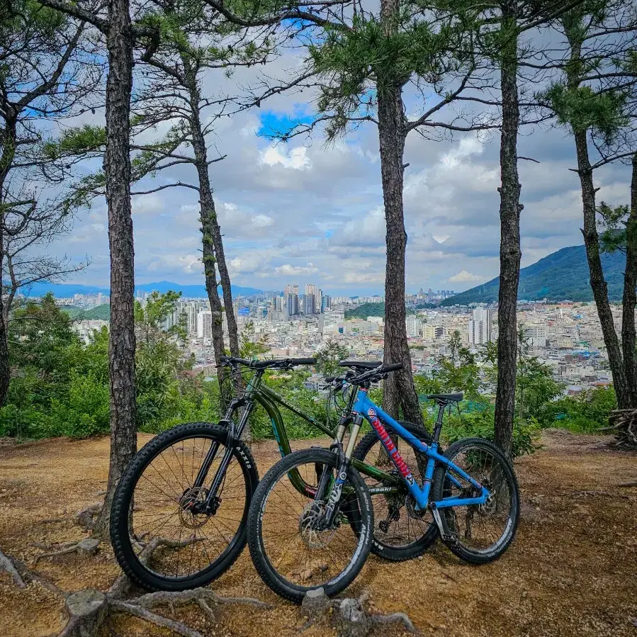 산타크루즈 자칼 mtb 어반 올마하텔