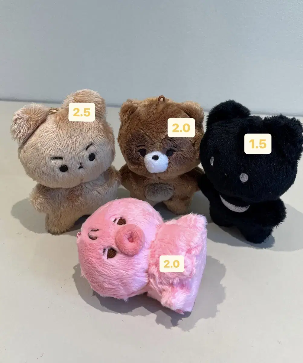 The Boyz doll wts 달곰 떤코 탄 곰 쪼구리